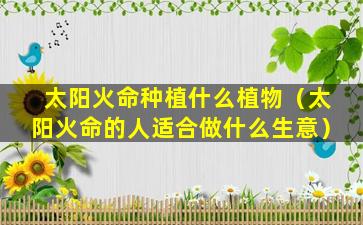 太阳火命种植什么植物（太阳火命的人适合做什么生意）