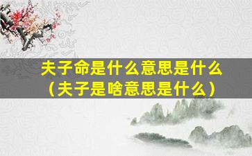 夫子命是什么意思是什么（夫子是啥意思是什么）