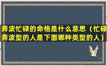 奔波忙碌的命格是什么意思（忙碌奔波型的人是下面哪种类型的人）