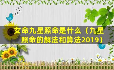 女命九星照命是什么（九星照命的解法和算法2019）