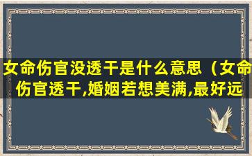 女命伤官没透干是什么意思（女命伤官透干,婚姻若想美满,最好远嫁）