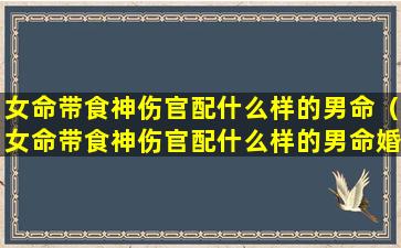 女命带食神伤官配什么样的男命（女命带食神伤官配什么样的男命婚姻好）