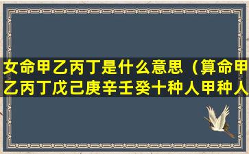 女命甲乙丙丁是什么意思（算命甲乙丙丁戊己庚辛壬癸十种人甲种人）