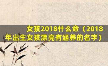 女孩2018什么命（2018年出生女孩漂亮有涵养的名字）