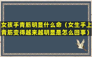 女孩手青筋明显什么命（女生手上青筋变得越来越明显是怎么回事）