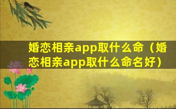 婚恋相亲app取什么命（婚恋相亲app取什么命名好）