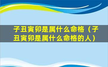 子丑寅卯是属什么命格（子丑寅卯是属什么命格的人）