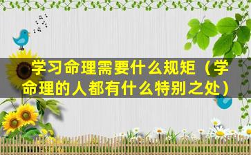 学习命理需要什么规矩（学命理的人都有什么特别之处）