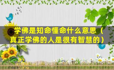 学佛是知命懂命什么意思（真正学佛的人是很有智慧的）