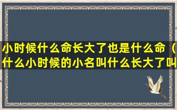 小时候什么命长大了也是什么命（什么小时候的小名叫什么长大了叫什么）