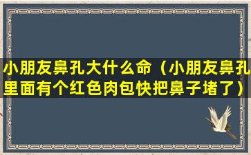 小朋友鼻孔大什么命（小朋友鼻孔里面有个红色肉包快把鼻子堵了）