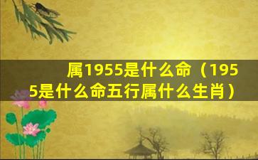 属1955是什么命（1955是什么命五行属什么生肖）