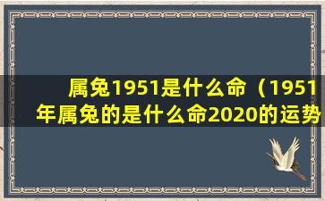 属兔1951是什么命（1951年属兔的是什么命2020的运势）