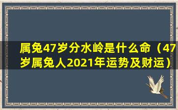 属兔47岁分水岭是什么命（47岁属兔人2021年运势及财运）