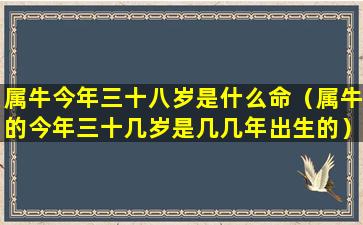 属牛今年三十八岁是什么命（属牛的今年三十几岁是几几年出生的）