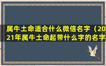 属牛土命适合什么微信名字（2021年属牛土命起带什么字的名字好）