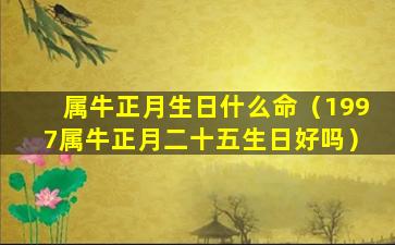 属牛正月生日什么命（1997属牛正月二十五生日好吗）