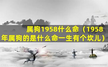 属狗1958什么命（1958年属狗的是什么命一生有个坎儿）