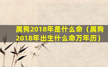 属狗2018年是什么命（属狗2018年出生什么命万年历）