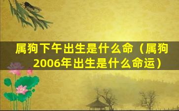 属狗下午出生是什么命（属狗2006年出生是什么命运）