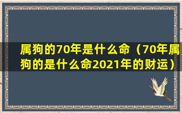 属狗的70年是什么命（70年属狗的是什么命2021年的财运）