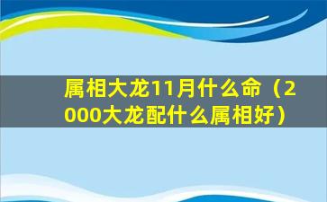 属相大龙11月什么命（2000大龙配什么属相好）