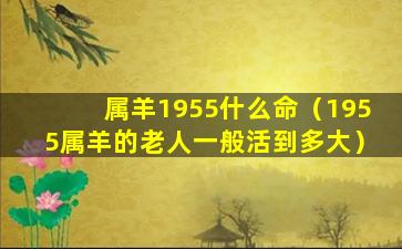 属羊1955什么命（1955属羊的老人一般活到多大）