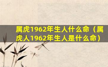 属虎1962年生人什么命（属虎人1962年生人是什么命）