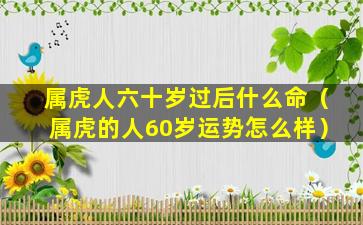 属虎人六十岁过后什么命（属虎的人60岁运势怎么样）