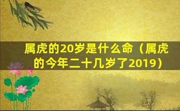 属虎的20岁是什么命（属虎的今年二十几岁了2019）