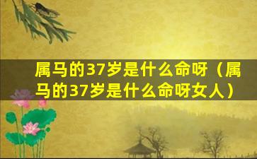 属马的37岁是什么命呀（属马的37岁是什么命呀女人）