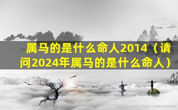 属马的是什么命人2014（请问2024年属马的是什么命人）