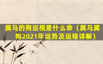 属马的狗巡视是什么命（属马属狗2021年运势及运程详解）