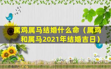 属鸡属马结婚什么命（属鸡和属马2021年结婚吉日）