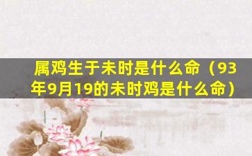 属鸡生于未时是什么命（93年9月19的未时鸡是什么命）