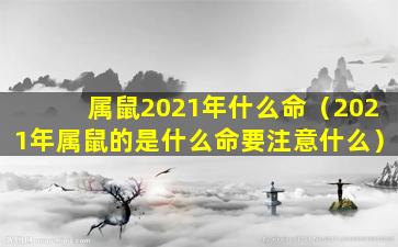 属鼠2021年什么命（2021年属鼠的是什么命要注意什么）