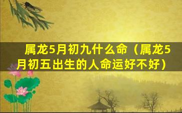 属龙5月初九什么命（属龙5月初五出生的人命运好不好）