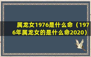 属龙女1976是什么命（1976年属龙女的是什么命2020）