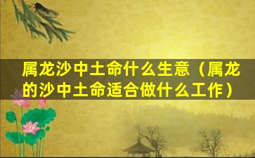 属龙沙中土命什么生意（属龙的沙中土命适合做什么工作）