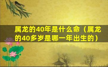 属龙的40年是什么命（属龙的40多岁是哪一年出生的）