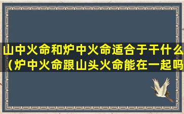 山中火命和炉中火命适合于干什么（炉中火命跟山头火命能在一起吗）