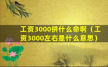 工资3000拼什么命啊（工资3000左右是什么意思）