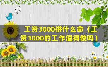 工资3000拼什么命（工资3000的工作值得做吗）