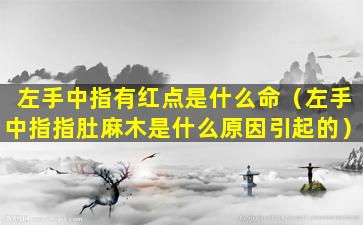 左手中指有红点是什么命（左手中指指肚麻木是什么原因引起的）