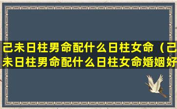 己未日柱男命配什么日柱女命（己未日柱男命配什么日柱女命婚姻好）