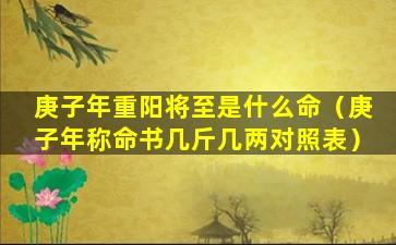 庚子年重阳将至是什么命（庚子年称命书几斤几两对照表）