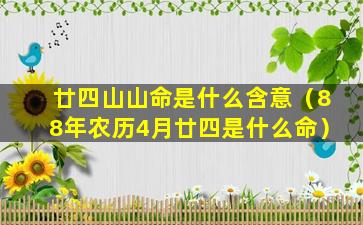 廿四山山命是什么含意（88年农历4月廿四是什么命）