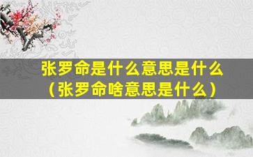 张罗命是什么意思是什么（张罗命啥意思是什么）