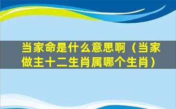 当家命是什么意思啊（当家做主十二生肖属哪个生肖）