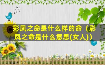 彩凤之命是什么样的命（彩凤之命是什么意思(女人)）